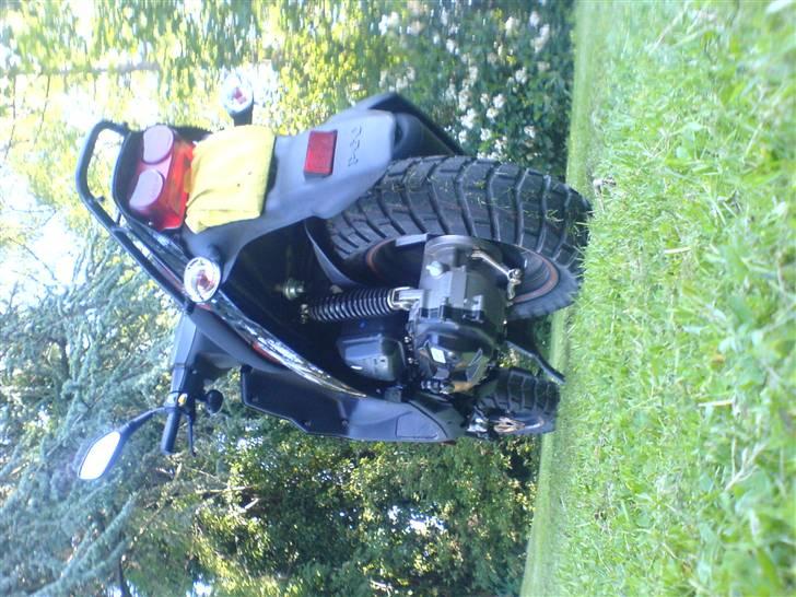 PGO hot 50 sp billede 1