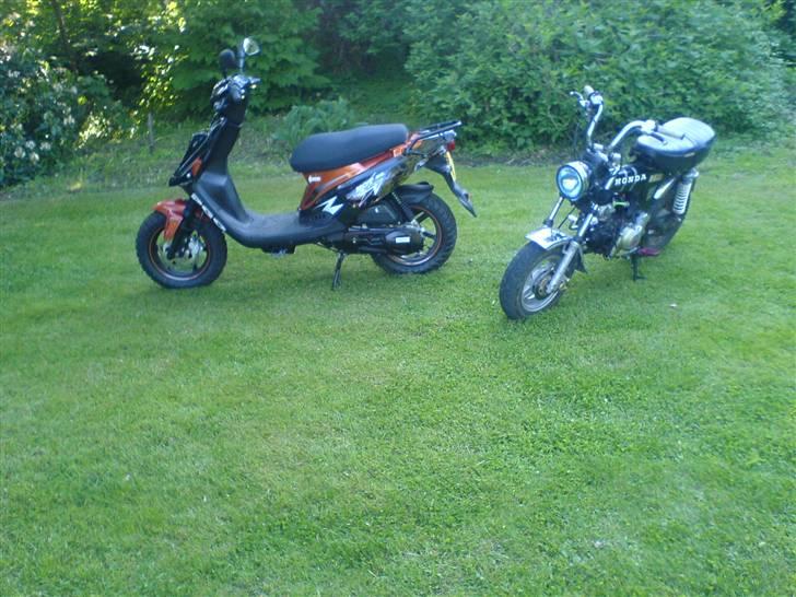 PGO hot 50 sp billede 7
