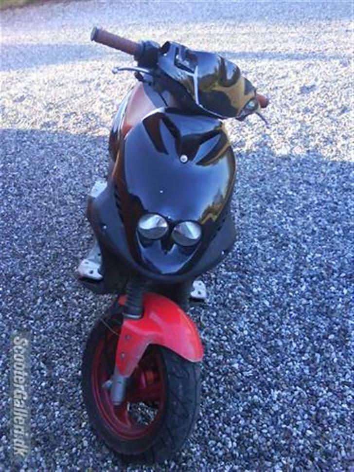 PGO pmx sport billede 7