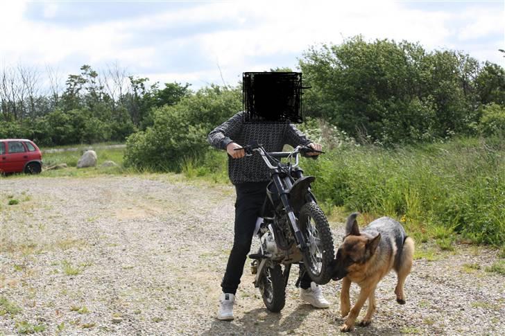 MiniBike Crosser - Solgt! billede 7