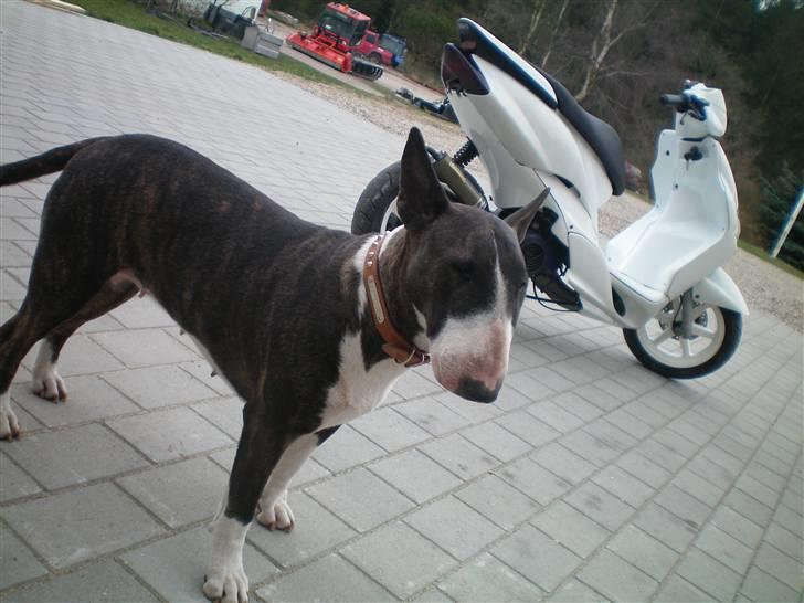 Yamaha Jog R Solgt  billede 8