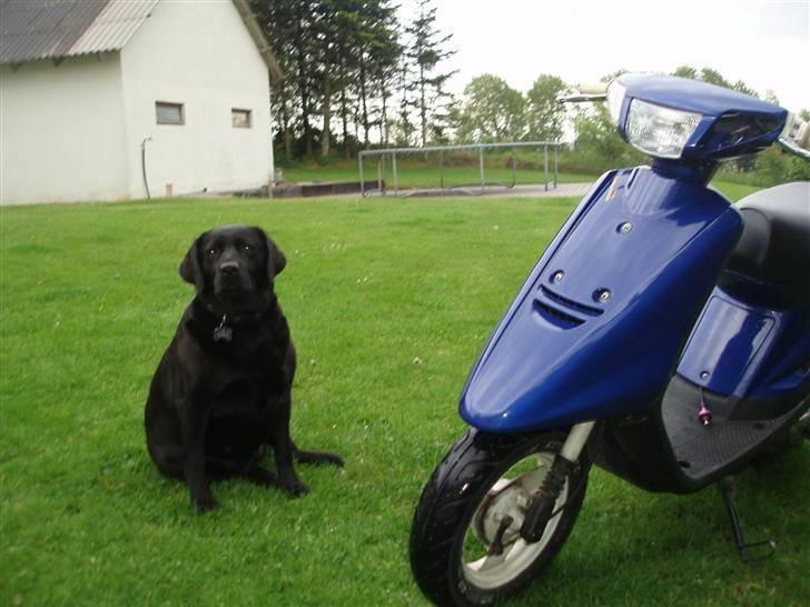 Yamaha jog as byttet (: billede 2