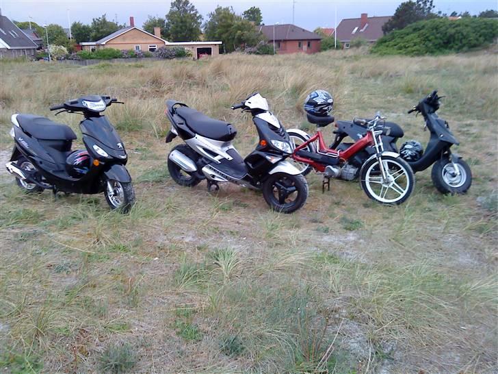 Puch maxi  billede 15