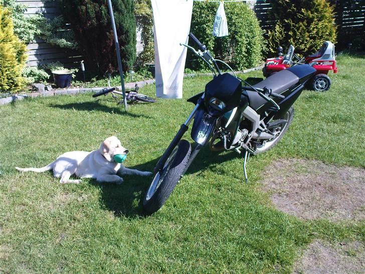 Gilera smt byttet billede 11