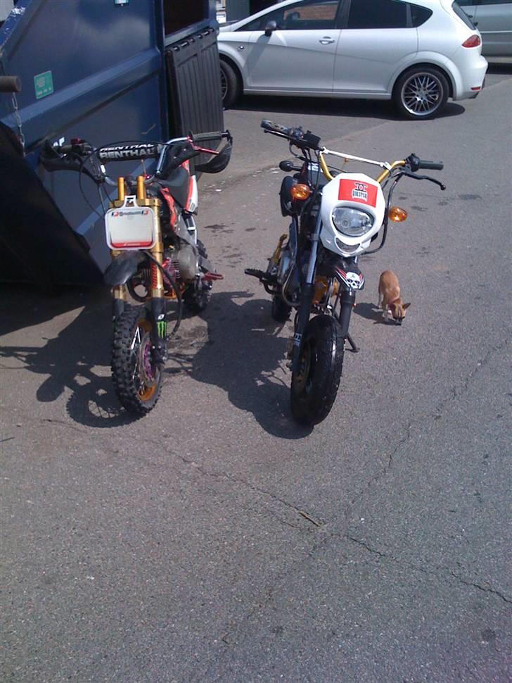 Shineray topstar billede 6