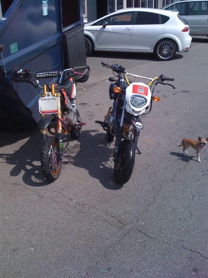 Shineray topstar billede 12