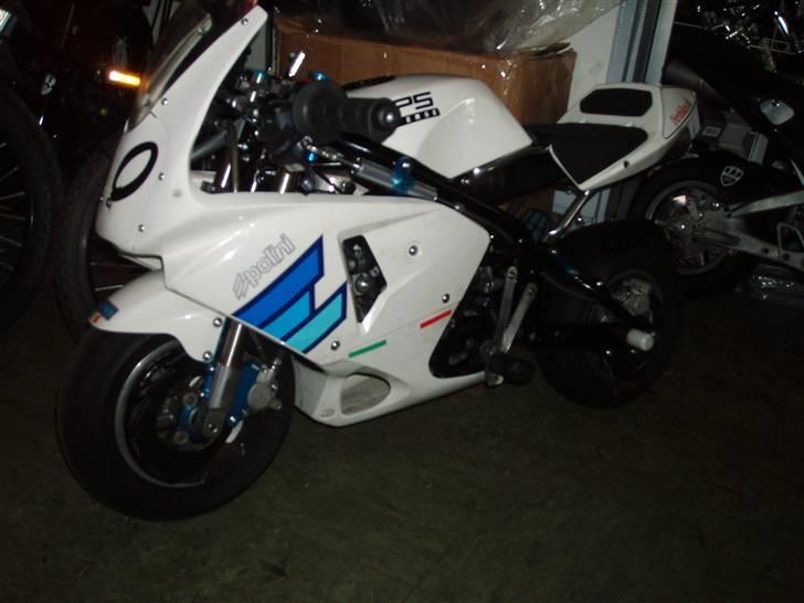 MiniBike Evil beast (solgt) billede 2