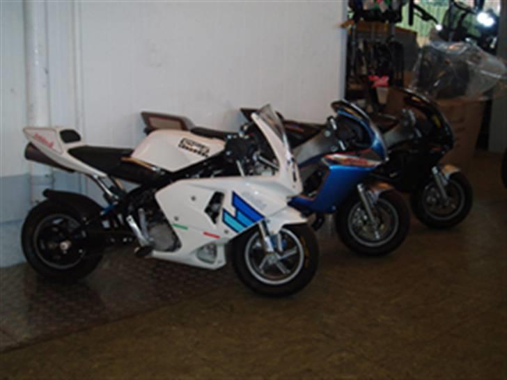 MiniBike Evil beast (solgt) billede 9
