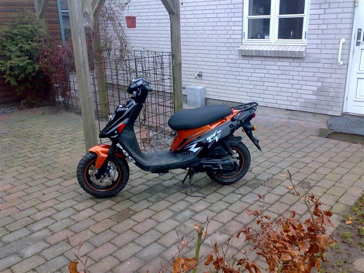 PGO Hot 50 (Sort/Rød) billede 3