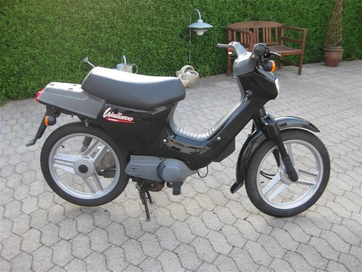 Honda Wallaroo »'Gaderaceren' billede 1