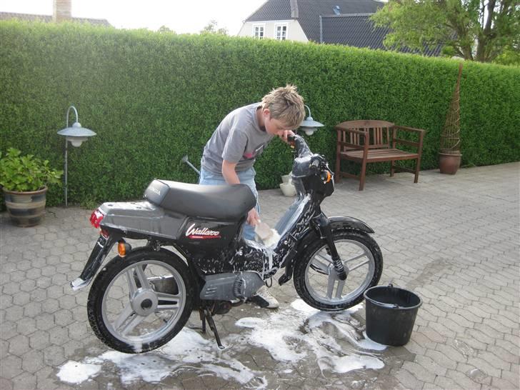 Honda Wallaroo »'Gaderaceren' billede 2