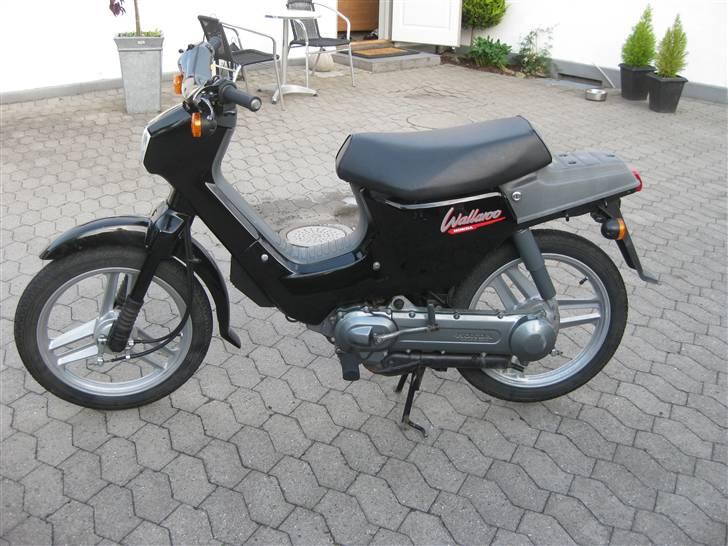 Honda Wallaroo »'Gaderaceren' billede 3