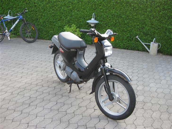 Honda Wallaroo »'Gaderaceren' billede 7