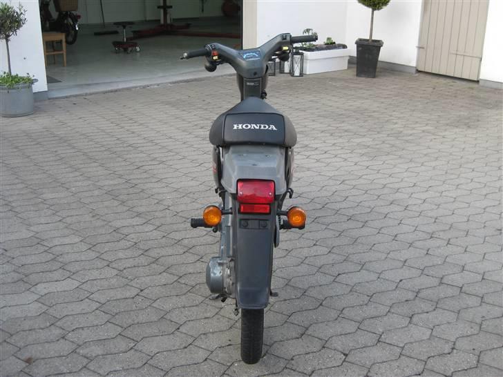 Honda Wallaroo »'Gaderaceren' billede 9