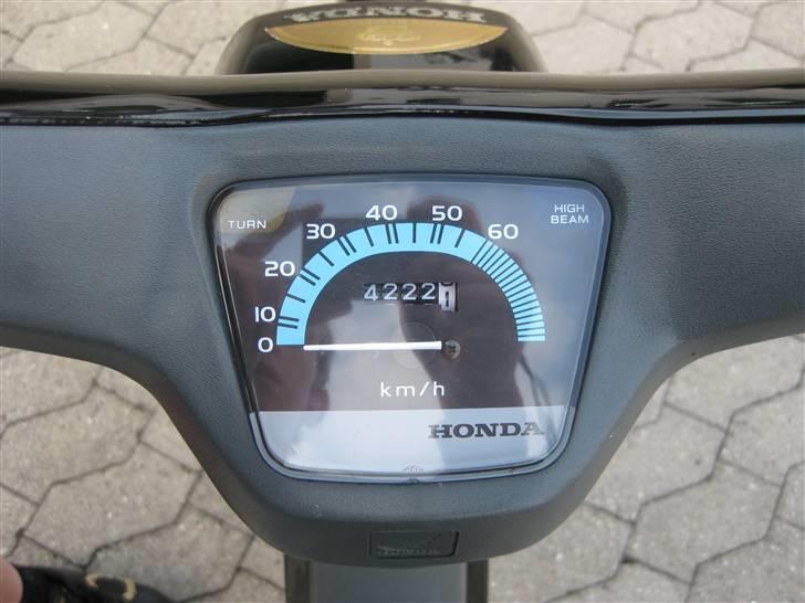 Honda Wallaroo »'Gaderaceren' billede 11