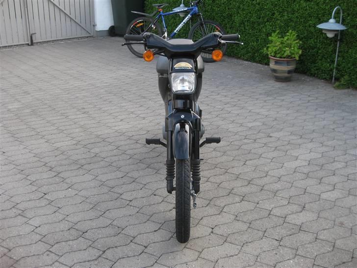 Honda Wallaroo »'Gaderaceren' billede 12
