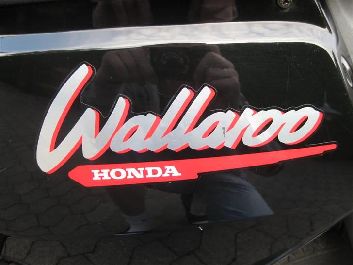 Honda Wallaroo »'Gaderaceren' billede 13