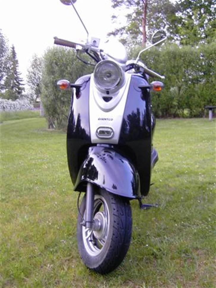 Giantco Venus billede 1