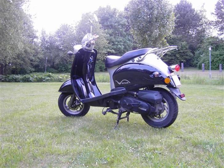 Giantco Venus billede 3