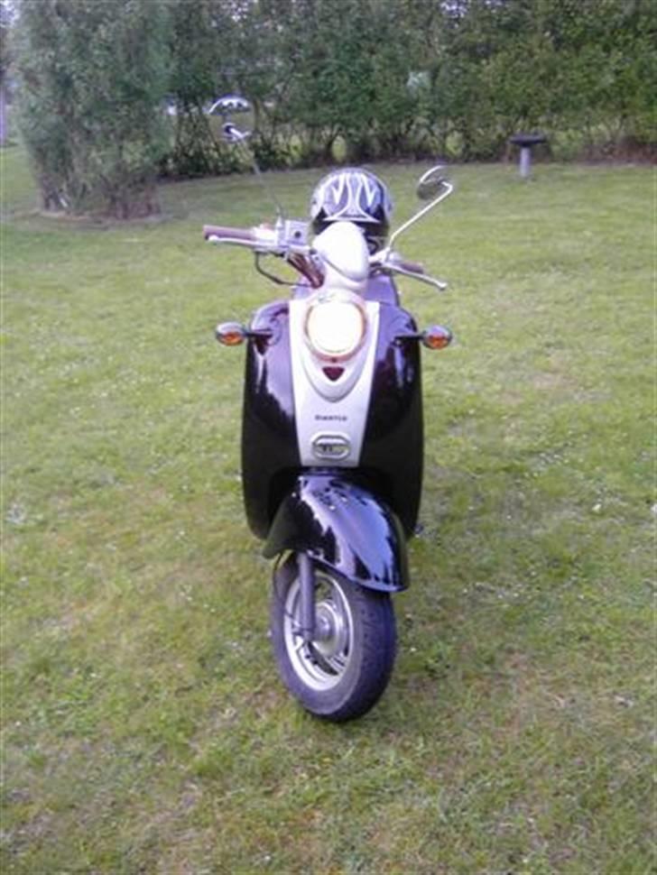 Giantco Venus billede 7