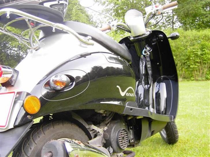 Giantco Venus billede 8