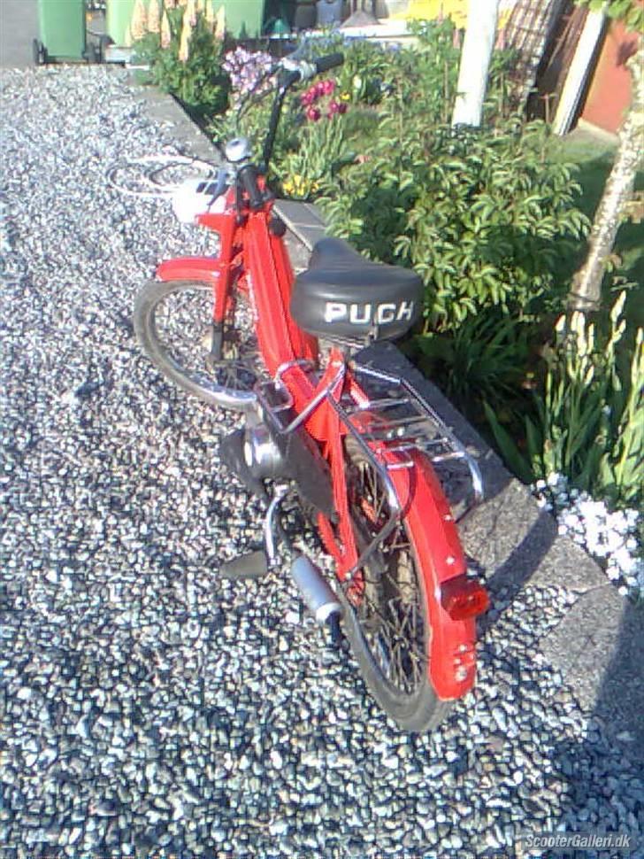 Puch maxi P (Tilsalg) billede 5