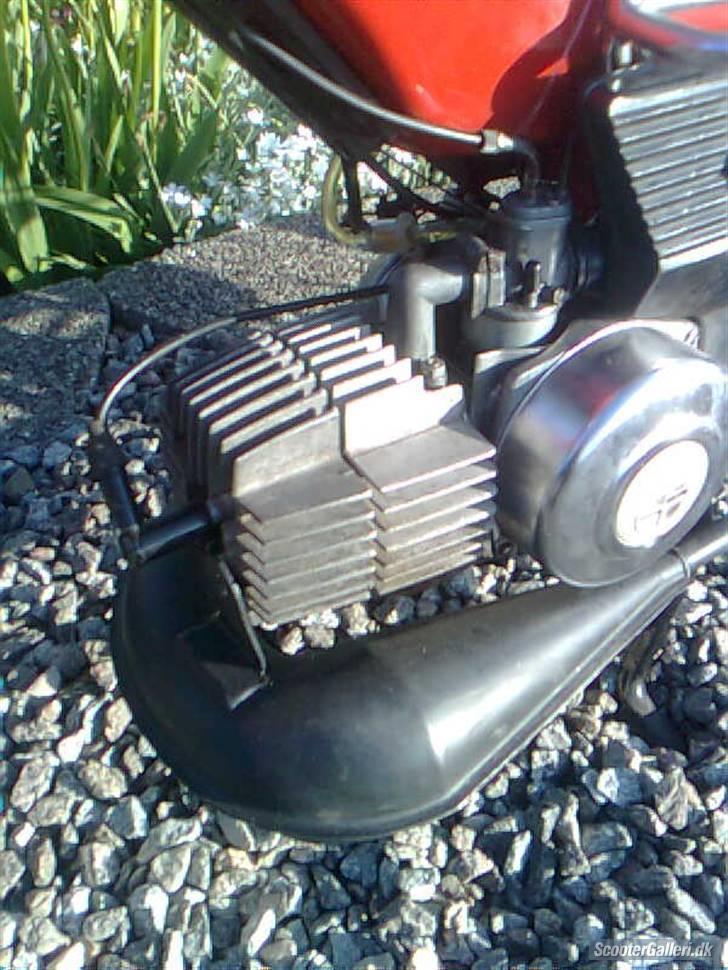 Puch maxi P (Tilsalg) billede 6