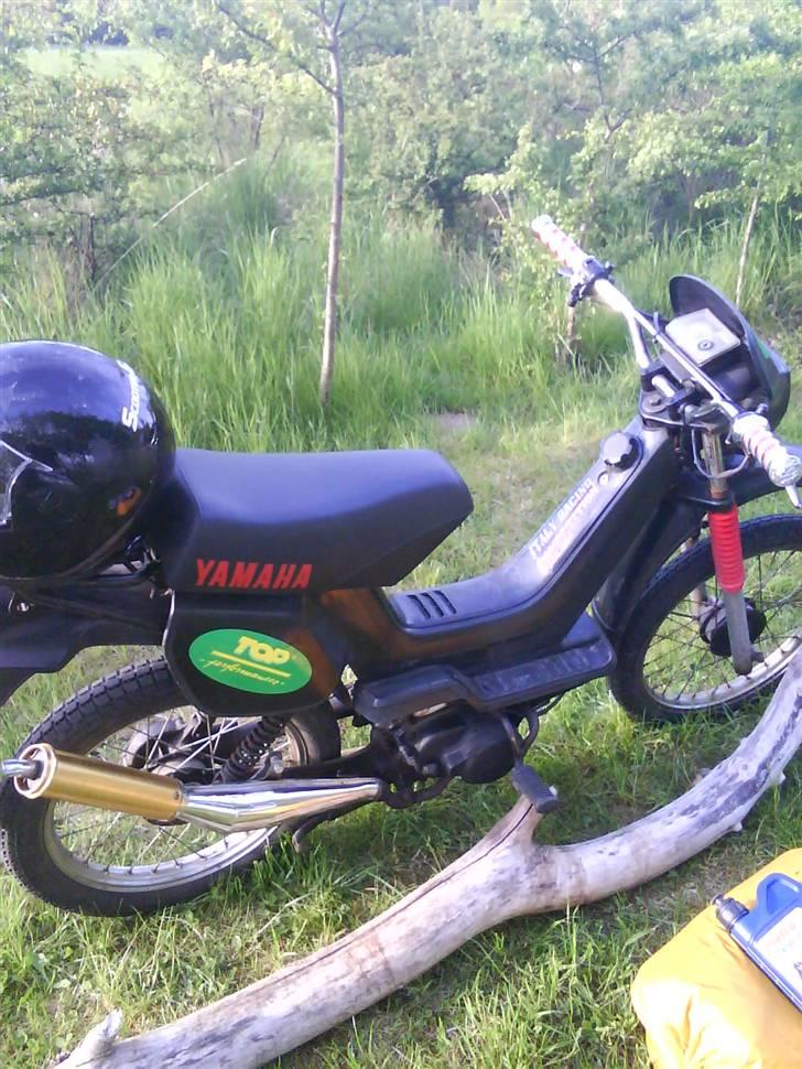 Yamaha Sting $SOLGT$ billede 1