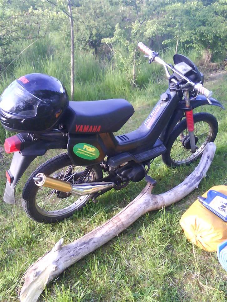 Yamaha Sting $SOLGT$ billede 2