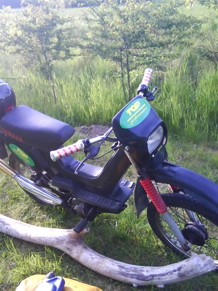 Yamaha Sting $SOLGT$ billede 7
