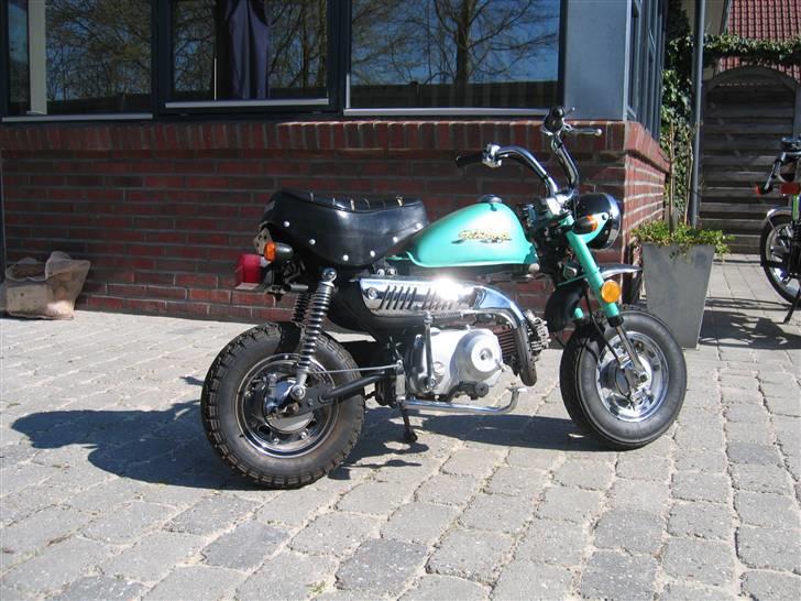 Jincheng monkey billede 16