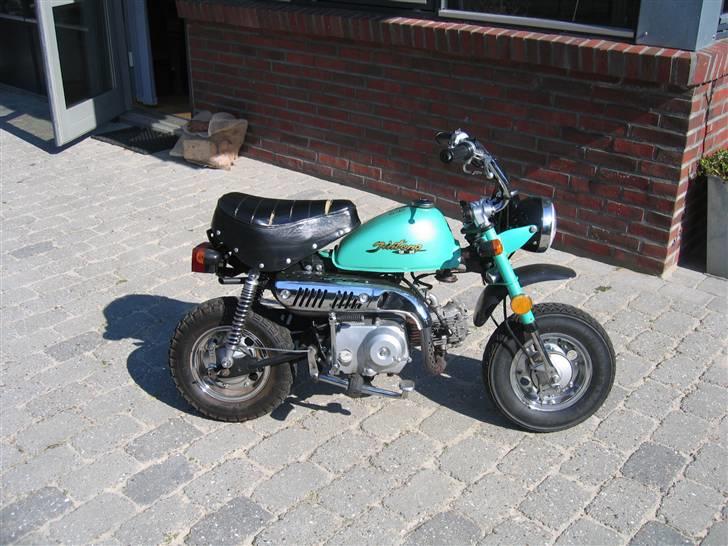 Jincheng monkey billede 17