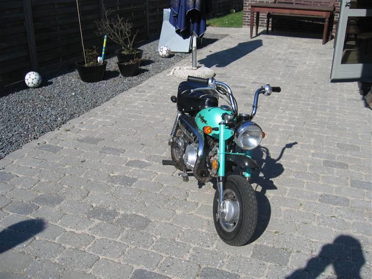 Jincheng monkey billede 18