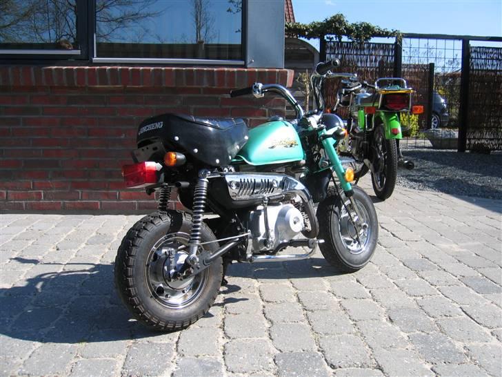 Jincheng monkey billede 19