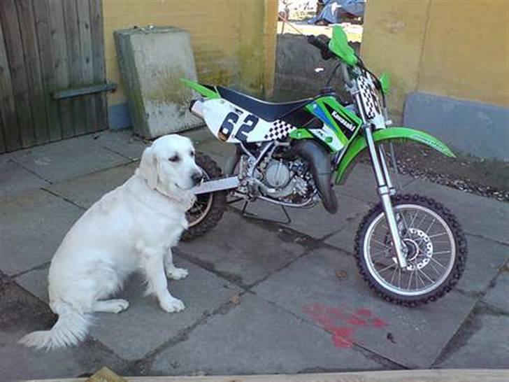 Kawasaki kx 65 solgt billede 2