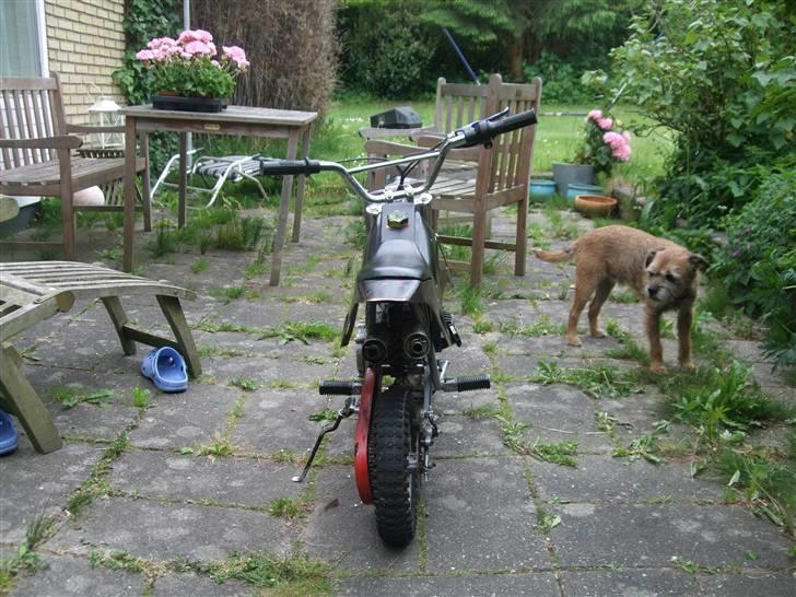 MiniBike 49cc crosser billede 3