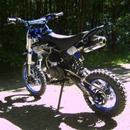 Lifan BSE Pro Racing Pitbike