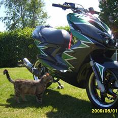 Yamaha Aerox Pata Negra