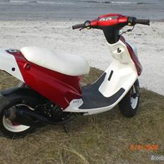 PGO Hot 50    ! SOLGT !