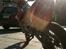 Gilera SMT LC DD SOLGT