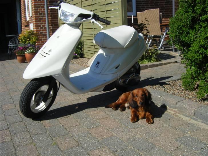 Yamaha Jog As Tilsalg  billede 1