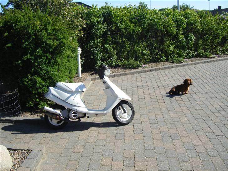 Yamaha Jog As Tilsalg  billede 14