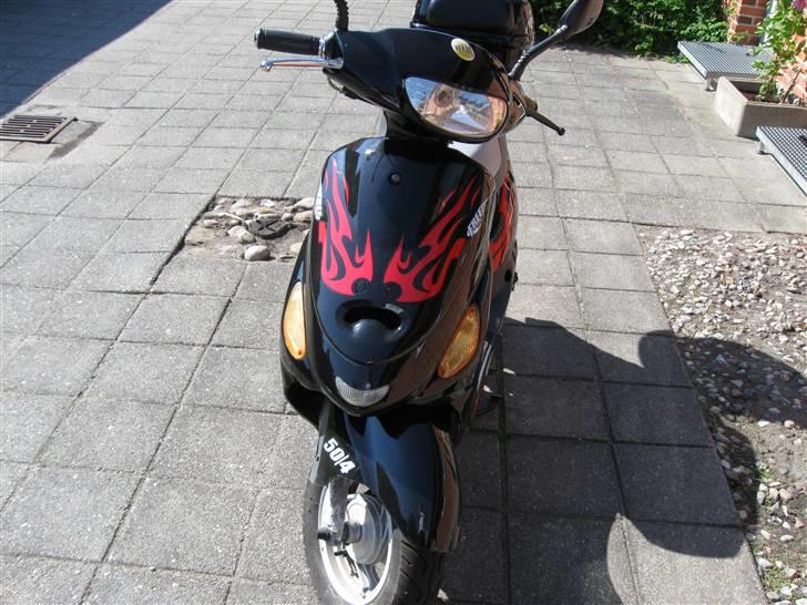 Texas Free 50-4 billede 6