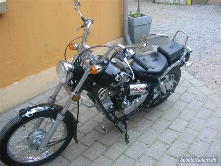 Regal Raptor SOLGT! billede 1