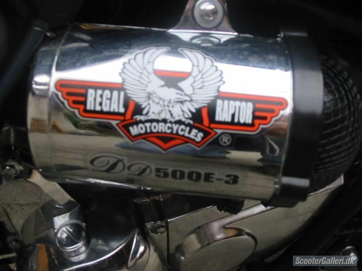 Regal Raptor SOLGT! billede 2