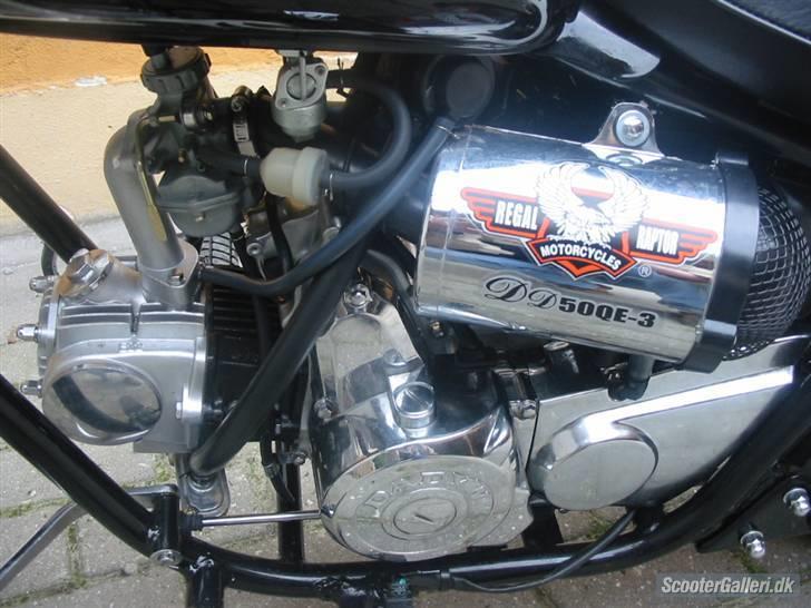 Regal Raptor SOLGT! billede 3