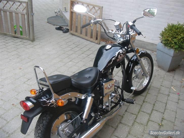 Regal Raptor SOLGT! billede 4