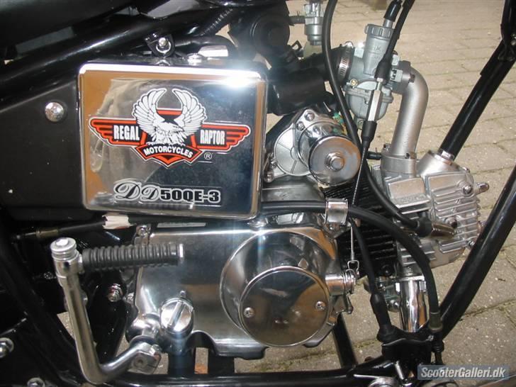 Regal Raptor SOLGT! billede 5