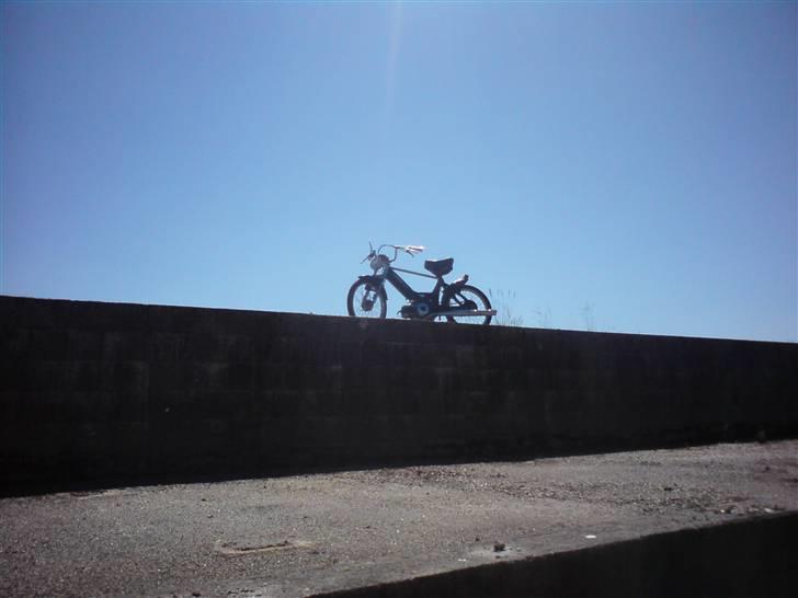 Puch maxi Solgt !! billede 20