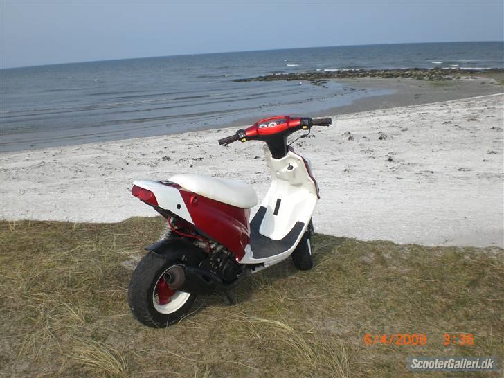 PGO Hot 50    ! SOLGT ! billede 6